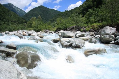 束の間の夏休み